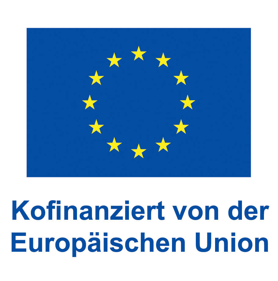 LOGO_EU1.ab70fd54.jpg